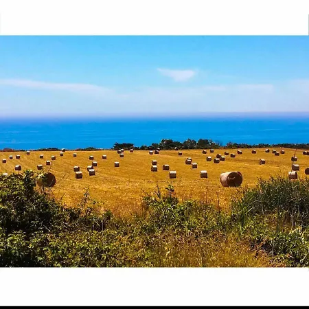 Donna Carmela Sede Unica A Sciacca Maragani