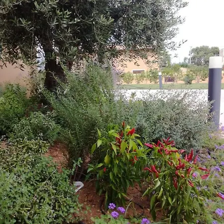 Hotel Donna Carmela Sede Unica A Sciacca