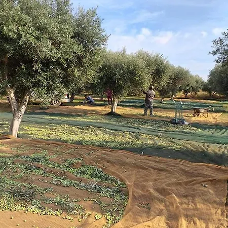 Donna Carmela Sede Unica A Sciacca 4* Maragani